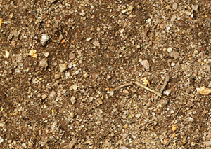 Screened Top Soil