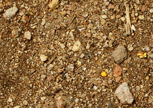 Unscreened Top Soil