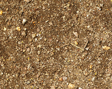 screened-topsoil