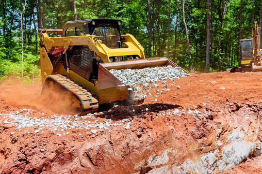 Bobcat in motion